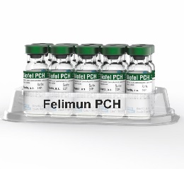 Felimun PCH