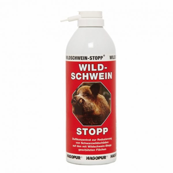 Wild schwein 1