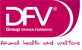 dfv logo
