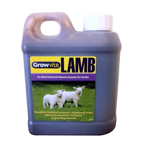 growvie lamb1