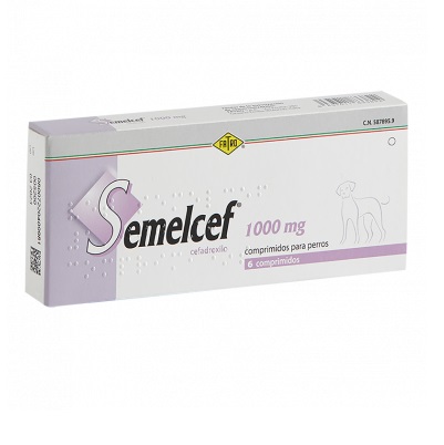 semelcef 1000 mg