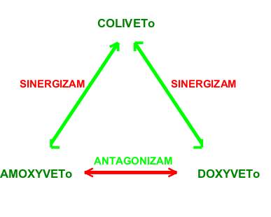 sinergizam
